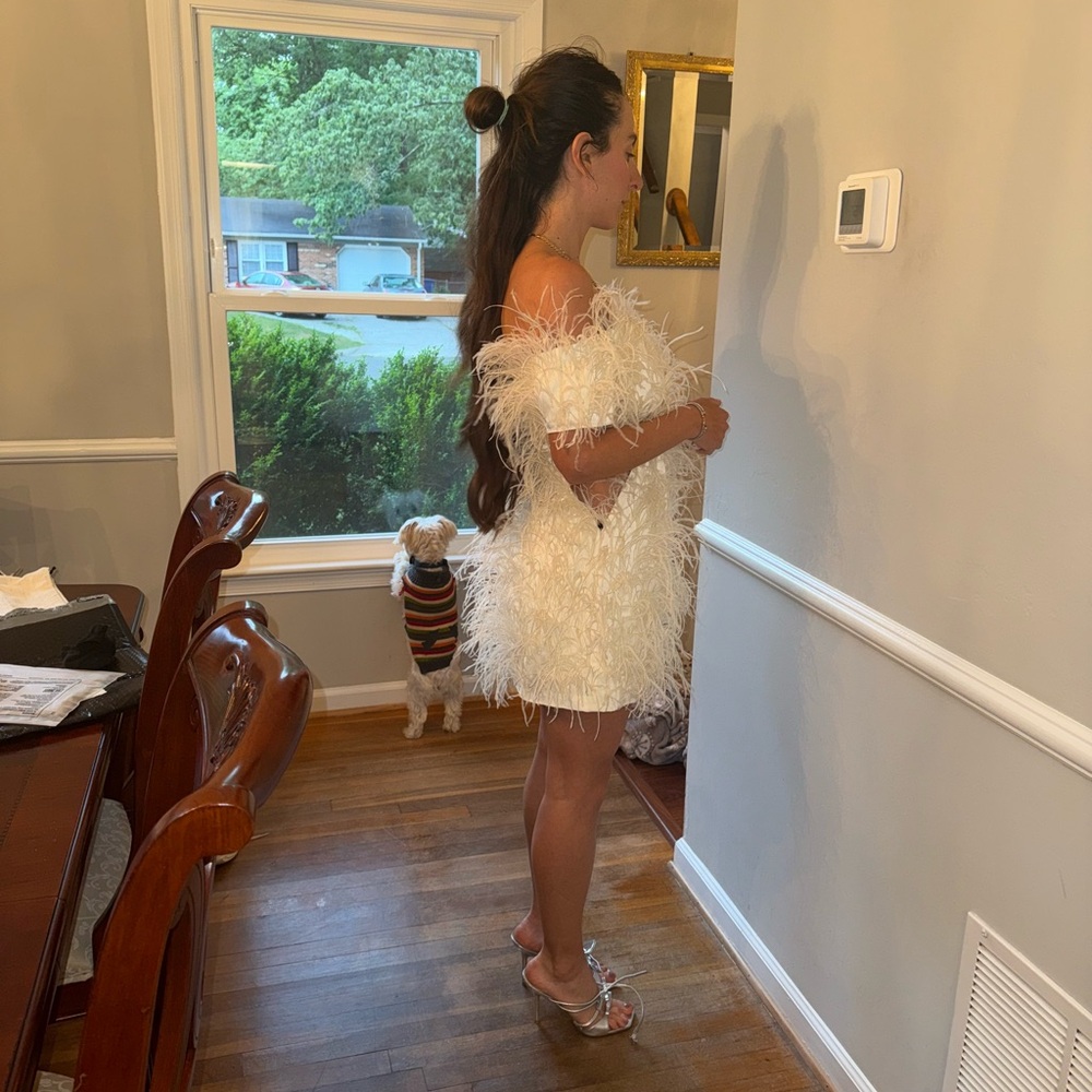 Cult Gaia Ivory Feathered Dress - Picture 5 of 8